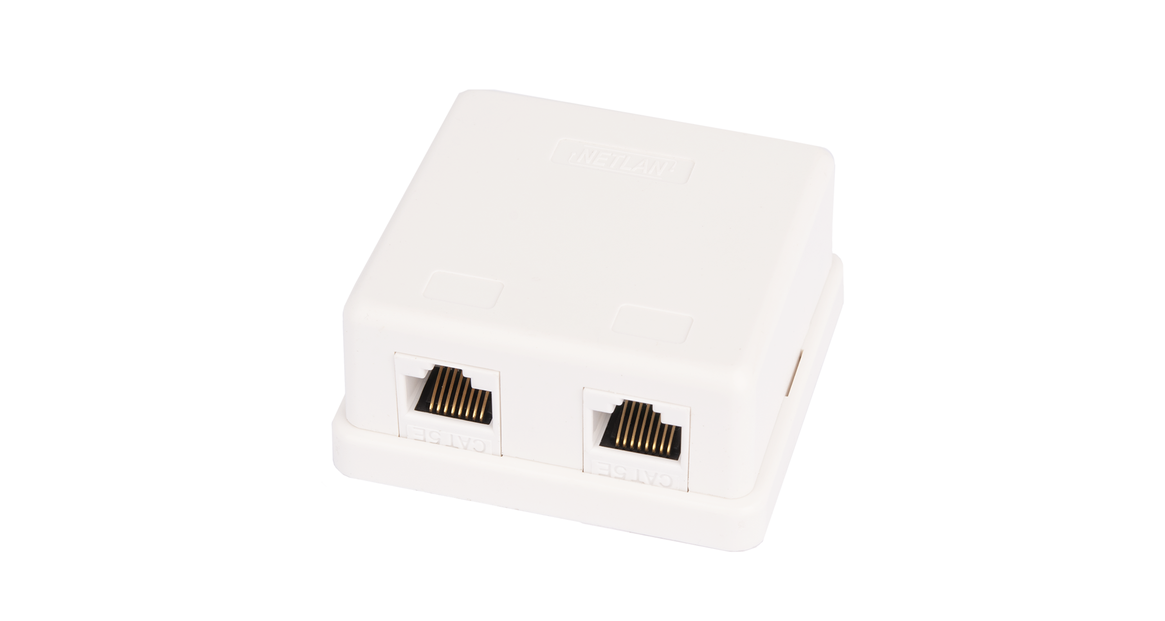 Розетка NETLAN, 2 порта, Кат.5e (Класс D), 100МГц, RJ45/8P8C, 110, T568A/B, неэкран.
